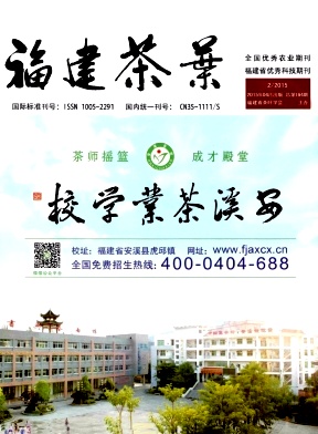 福建茶葉